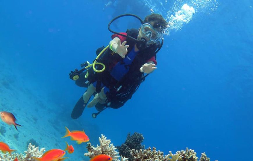 Tour Cairo, Nile Cruise and Marsa Alam