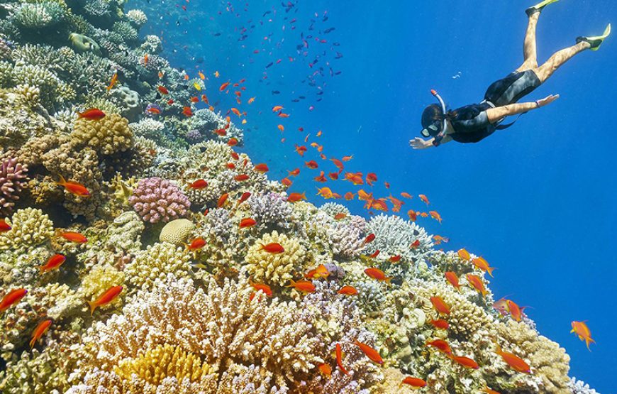 Tour Cairo, Nile Cruise and Marsa Alam