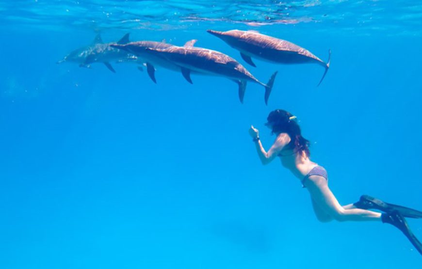 Tour Cairo, Nile Cruise and Marsa Alam