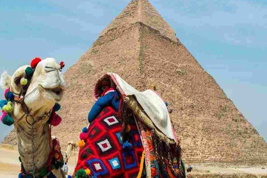 Camel Ride to Pyramids