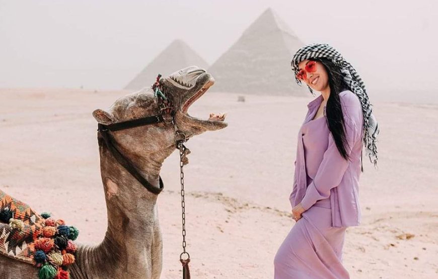 All inclusive Private tour to Giza Pyramid | Sphinx | Camel Ride | Lunch / Shopping tour