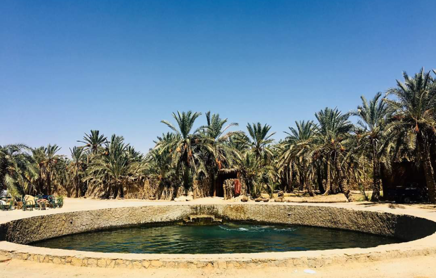 8 days 7 nights | Romantic Itinerary with Cairo and Siwa Oasis