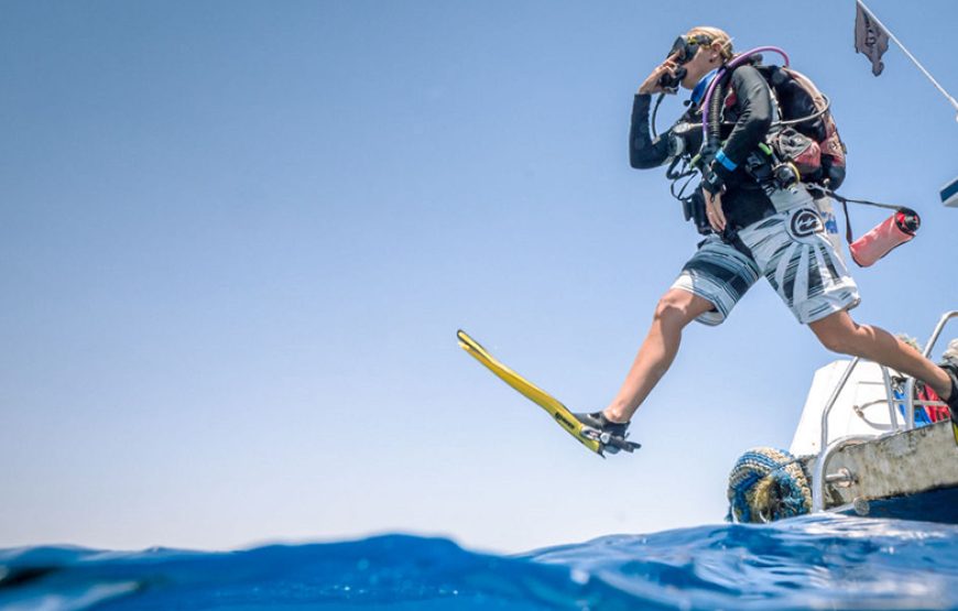 Snorkeling in Ras Mohamed National Park Sharm El sheikh
