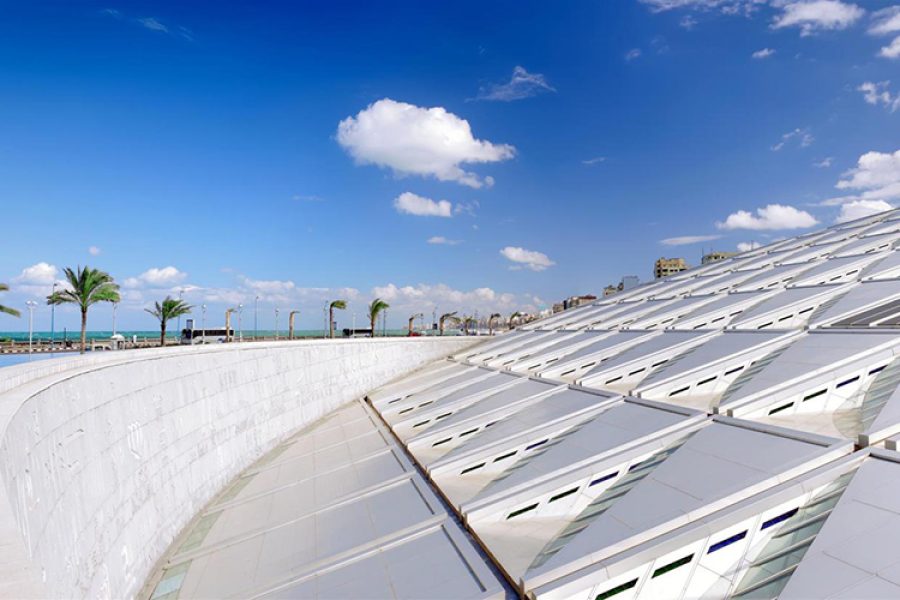 Cairo To Alexandria Day Trip